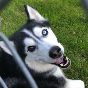 Meet your Posher, Meg